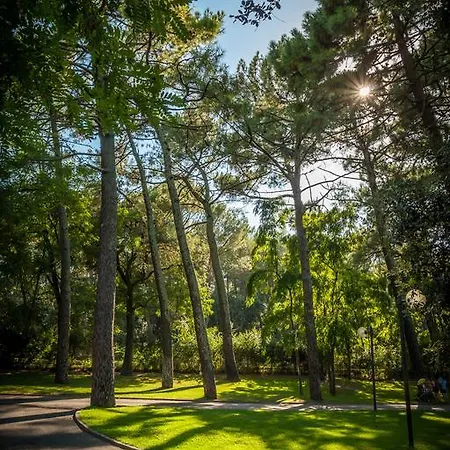 Campsite La Sousta**** Remoulins