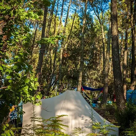 La Sousta**** Campingplatz Remoulins