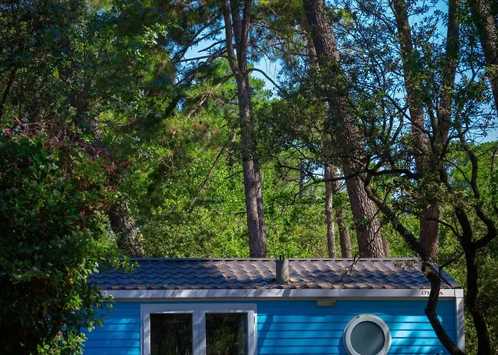 Кемпинг La Sousta**** Ремулен