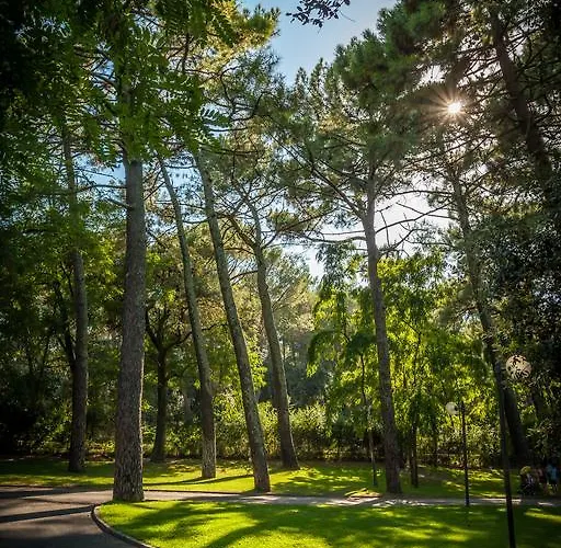 Кемпинг La Sousta**** Ремулен