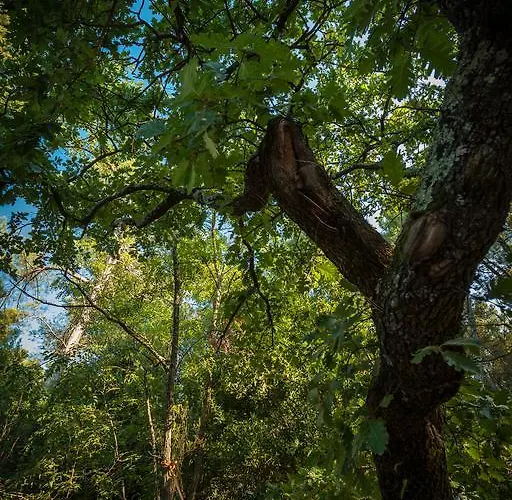 Кемпинг La Sousta**** 4*