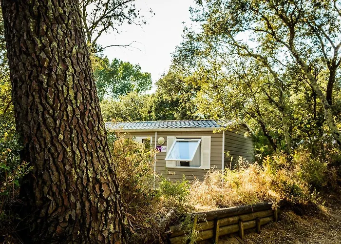 Кемпинг La Sousta**** 4*